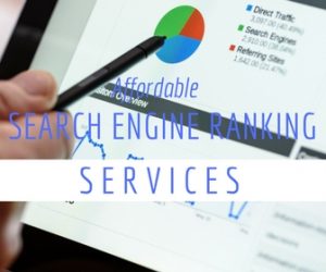 Search Engine Ranking Services